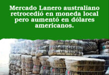Mercado Lanero australiano retrocedió en moneda local pero aumentó en dólares americanos.