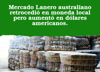 Mercado Lanero australiano retrocedió en moneda local pero aumentó en dólares americanos.