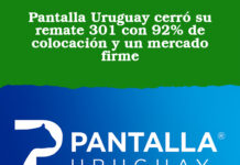 Pantalla Uruguay cerró su remate 301 con 92% de colocación y un mercado firme