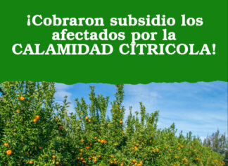 ¡Cobraron subsidio los afectados por la CALAMIDAD CITRICOLA!