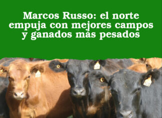 Marcos Russo: el norte empuja con mejores campos y ganados más pesados