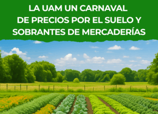 Crisis de precios en la UAM: exceso de oferta y consumo a la baja