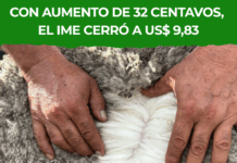 IME sube 3,8% y marca máximo de temporada en Australia