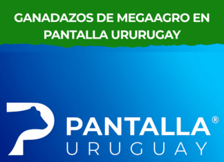 Ganadazos de Megaagro en Pantalla Ururugay