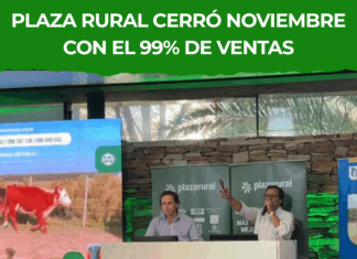 Plaza Rural cerró noviembre con el 99% de ventas