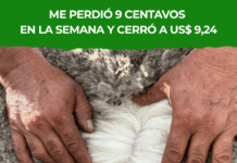 IME perdió 9 centavos en la semana y cerró a US$ 9,24