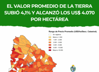El valor promedio de la tierra subió 4,1% y alcanzó los US$ 4.070 por hectárea