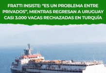 Fratti atribuye el conflicto a privados tras el rechazo de 3.000 vacas en Turquía