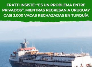 Fratti atribuye el conflicto a privados tras el rechazo de 3.000 vacas en Turquía