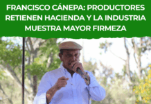 El mercado ganadero cierra la semana con estabilidad, demanda firme y señales al alza