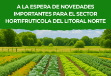 A la espera de novedades importantes para el sector hortifruticola del Litoral Norte