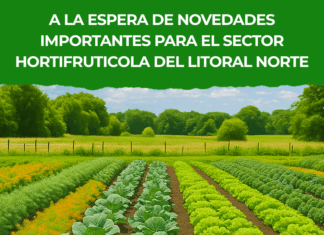 A la espera de novedades importantes para el sector hortifruticola del Litoral Norte