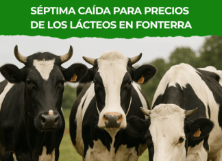 Séptima baja consecutiva en subasta de lácteos de Fonterra y ajuste leve en precio de la leche