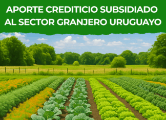 Aporte crediticio subsidiado al sector granjero uruguayo