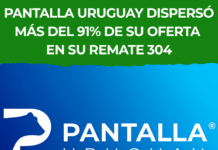 Pantalla Uruguay dispersó más del 91% de su oferta en su remate 304