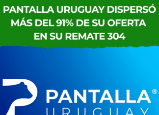 Pantalla Uruguay dispersó más del 91% de su oferta en su remate 304