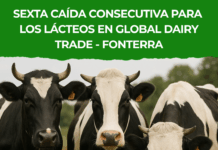 Mercado lácteo en caída: nuevas bajas en FONTERRA y tensión en el sector uruguayo