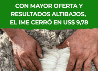 Con mayor oferta y resultados altibajos, el IME cerró en US$ 9,78