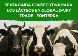 Leche en polvo entera perdió los U$S 3.500 por tonelada en FONTERRA
