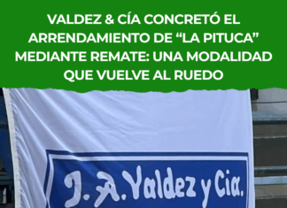 Valdez & Cía reabre los remates de renta: éxito en La Pituca y 106 US$/ha