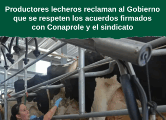 Productores lecheros reclaman al Gobierno que se respeten los acuerdos firmados con Conaprole y el sindicato