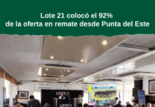 Lote 21 colocó el 92% de la oferta en remate desde Punta del Este