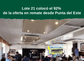 Lote 21 colocó el 92% de la oferta en remate desde Punta del Este