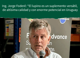 Ing. Jorge Foderé: “El lupino es un suplemento versátil, de altísima calidad y con enorme potencial en Uruguay”