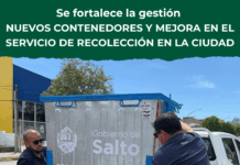 Nuevos contenedores y mejoras en la recolección fortalecen la gestión en Salto