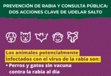 Udelar Salto impulsa prevención sanitaria y abre participación en su Plan Estratégico
