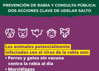 Udelar Salto impulsa prevención sanitaria y abre participación en su Plan Estratégico