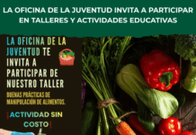 Talleres y muestras educativas para jóvenes en Salto durante noviembre