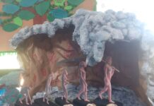 El liceo IPOLL celebró la ciencia con una nueva edición de la Expo Ciencia