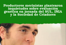 Productores merinistas plantearon inquietudes sobre evaluación genética en jornada del SUL, INIA y la Sociedad de Criadores