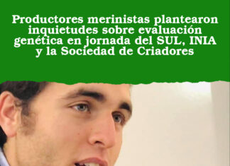 Productores merinistas plantearon inquietudes sobre evaluación genética en jornada del SUL, INIA y la Sociedad de Criadores