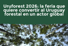 Uruforest 2026: la feria que quiere convertir al Uruguay forestal en un actor global