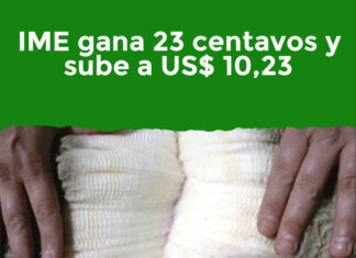 IME gana 23 centavos y sube a US$ 10,23