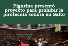 Pigurina presentó proyecto para prohibir la pirotecnia sonora en Salto