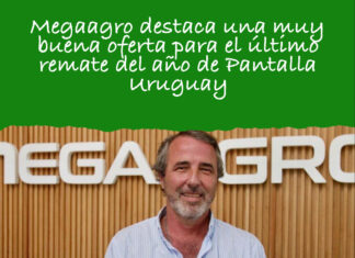 Megaagro destaca una muy buena oferta para el último remate del año de Pantalla Uruguay