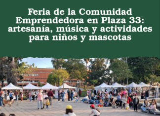 Feria de la Comunidad Emprendedora en Plaza 33: artesanía, música y actividades para niños y mascotas