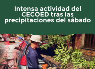 Intensa actividad del CECOED por precipitaciones del sábado