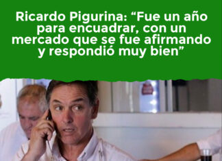 Ricardo Pigurina: “Fue un año para encuadrar, con un mercado que se fue afirmando y respondió muy bien”