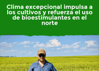Clima excepcional impulsa a los cultivos y refuerza el uso de bioestimulantes en el norte