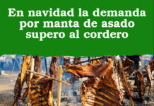 En navidad la demanda por manta de asado supero al cordero