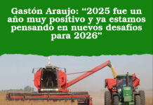 Gastón Araujo: “2025 fue un año muy positivo y ya estamos pensando en nuevos desafíos para 2026”
