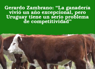 Gerardo Zambrano: “La ganadería vivió un año excepcional, pero Uruguay tiene un serio problema de competitividad”