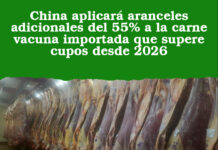 China aplicará aranceles adicionales del 55% a la carne vacuna importada que supere cupos desde 2026