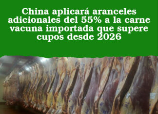 China aplicará aranceles adicionales del 55% a la carne vacuna importada que supere cupos desde 2026