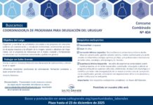 Salto Grande busca coordinador de programa para Uruguay Concurso Combinado Nº 404