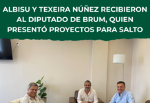 Albisu y Texeira Núñez recibieron al diputado De Brum para analizar proyectos de desarrollo en Salto